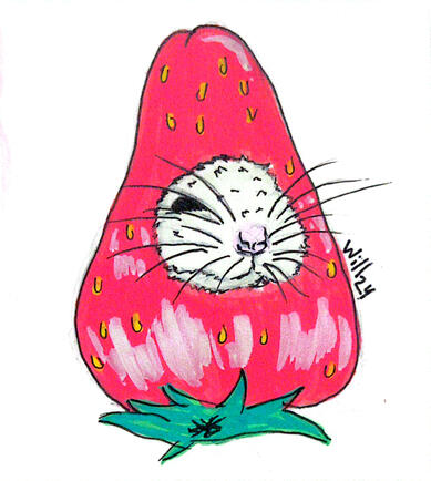 Para todos los públicos